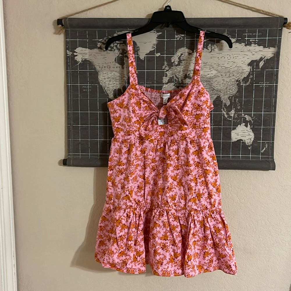 Topshop Dress